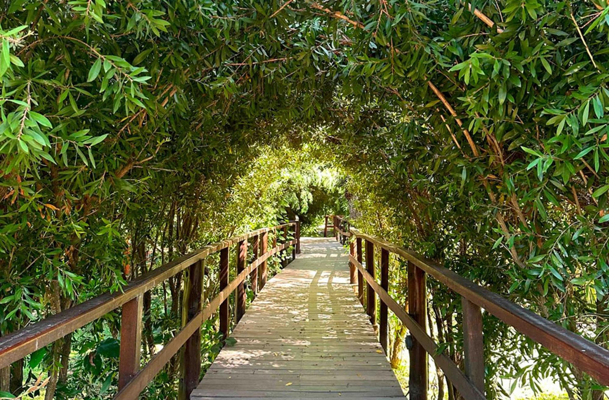 Delta Eco Resort & Spa Tigre Dış mekan fotoğraf